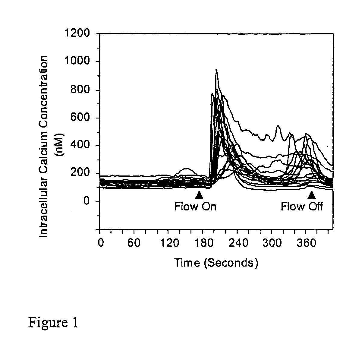 Modulation of stem and progenitor cell growth by oscillatory fluid flow