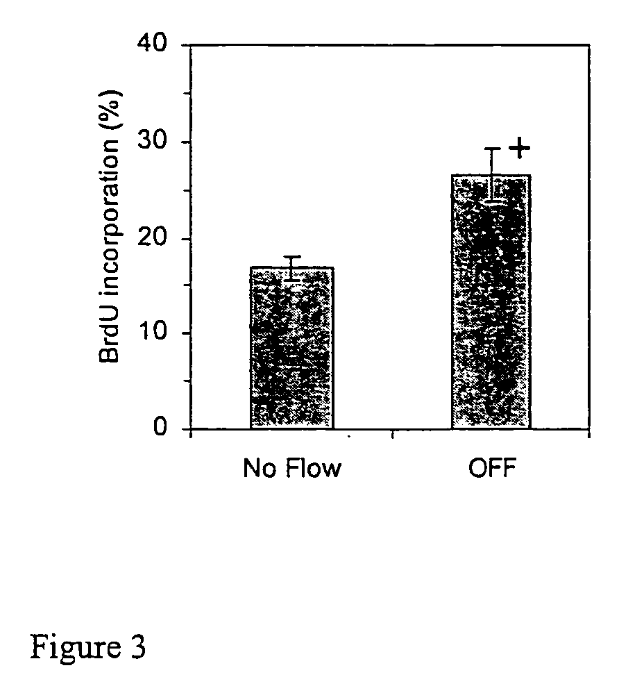 Modulation of stem and progenitor cell growth by oscillatory fluid flow