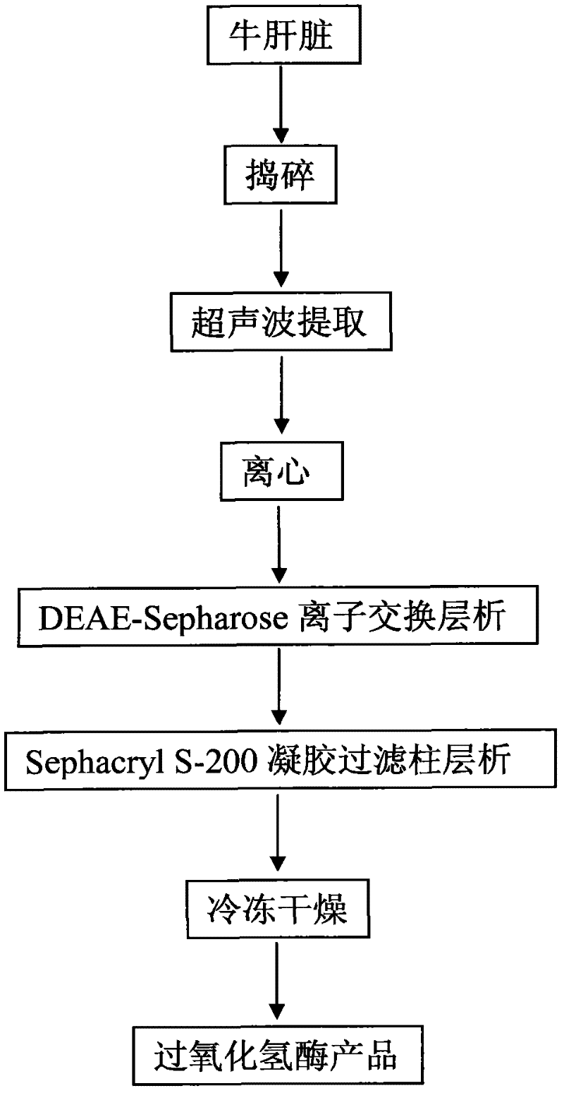 Method for preparing catalase by using bovine livers