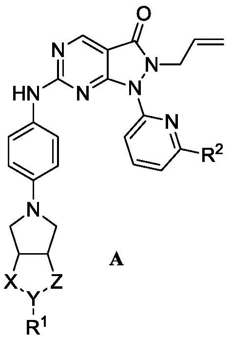 Pyrazolone-fused pyrimidine compound as well as preparation method and application thereof