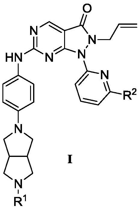 Pyrazolone-fused pyrimidine compound as well as preparation method and application thereof