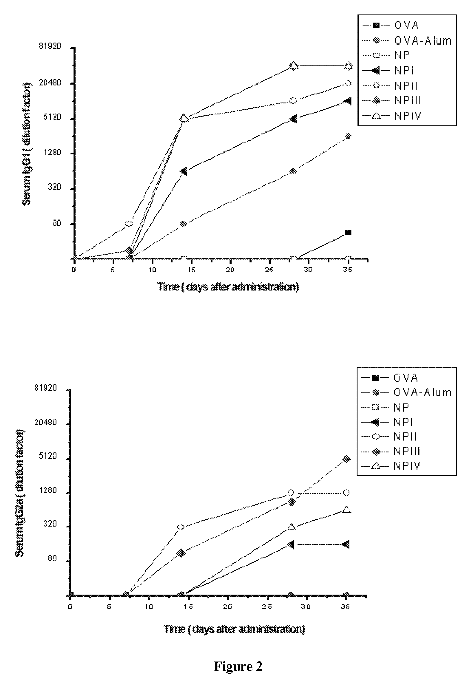 Immune response stimulating composition comprising nanoparticles based on a methyl vinyl ether-maleic acid copolymer