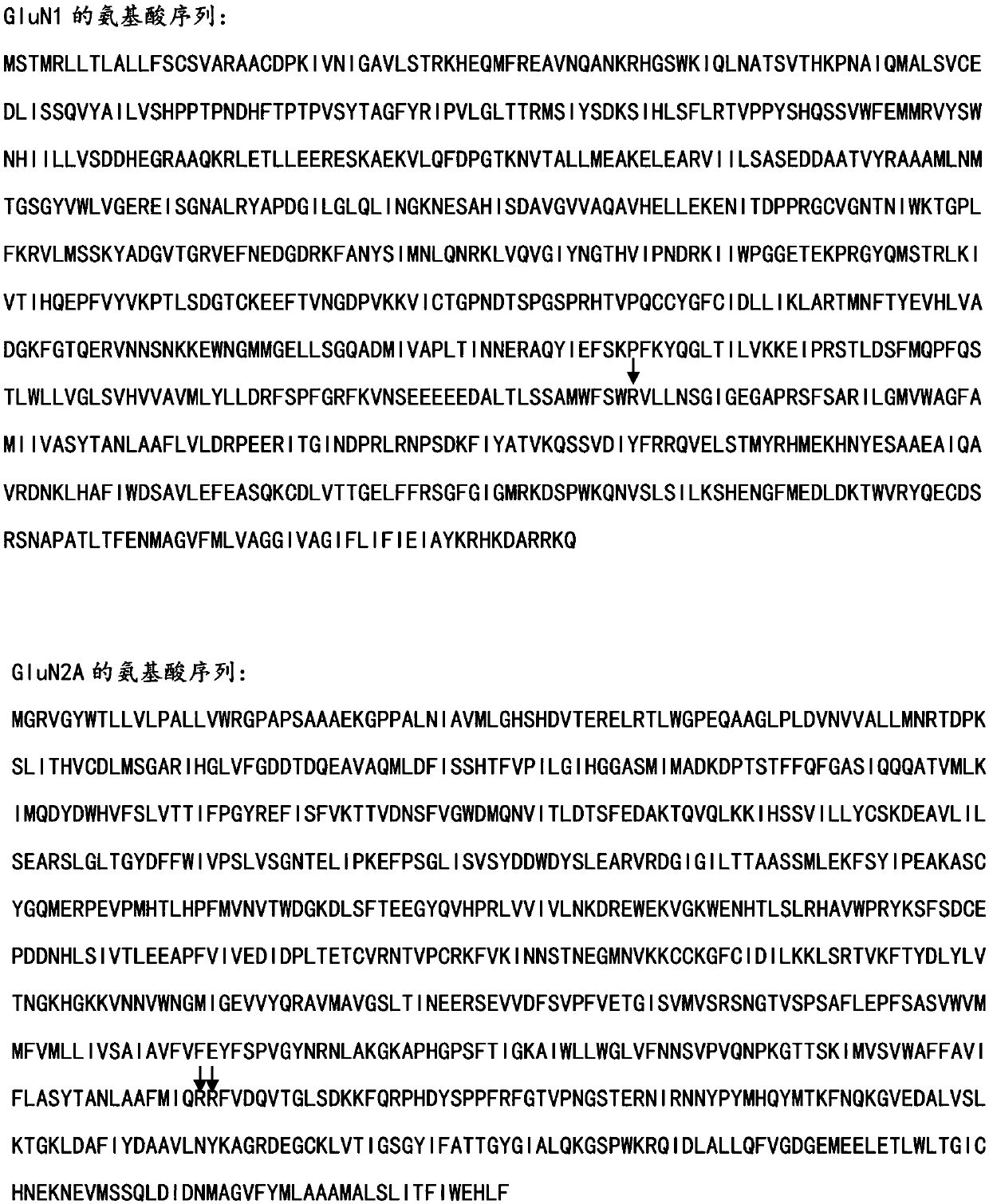 Expression and applications of GluN1/GluN2A tetramer of human N-methyl-D-aspartate receptor