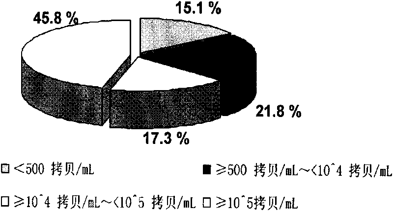 Hepatitis B virus multi-locus genotypic resistance mutation detection method