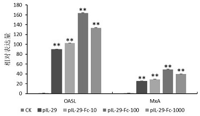 Recombinant porcine IL-29 fusion protein and preparation method and application thereof