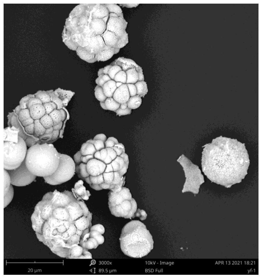 Method for preparing spherical dinitroso diammineplatinum by hydrothermal method and application