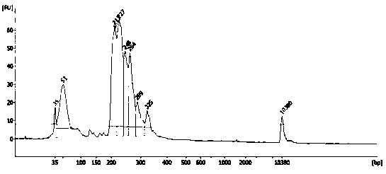 Method for high-flux sequencing for establishing of human miRNA (micro-ribonucleic acid) sequencing library