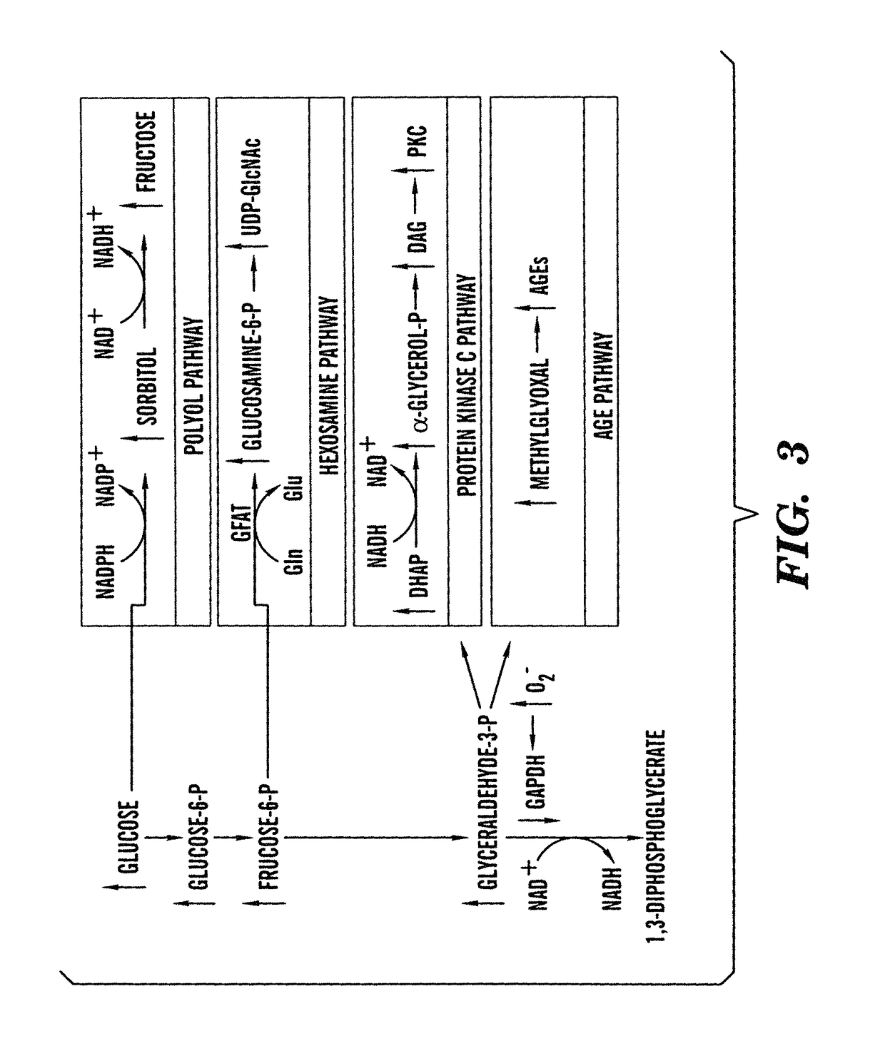 Method of treating or preventing pathologic effects of acute increases in hyperglycemia and/or acute increases of free fatty acid flux