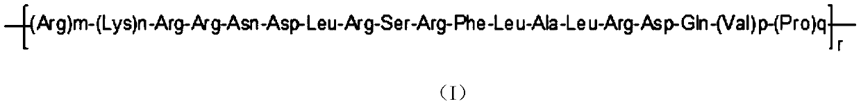 Anticancer peptides