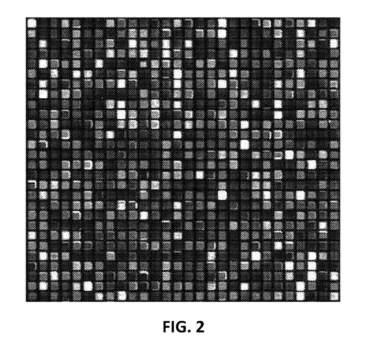 Array-based peptide libraries for therapeutic antibody characterization