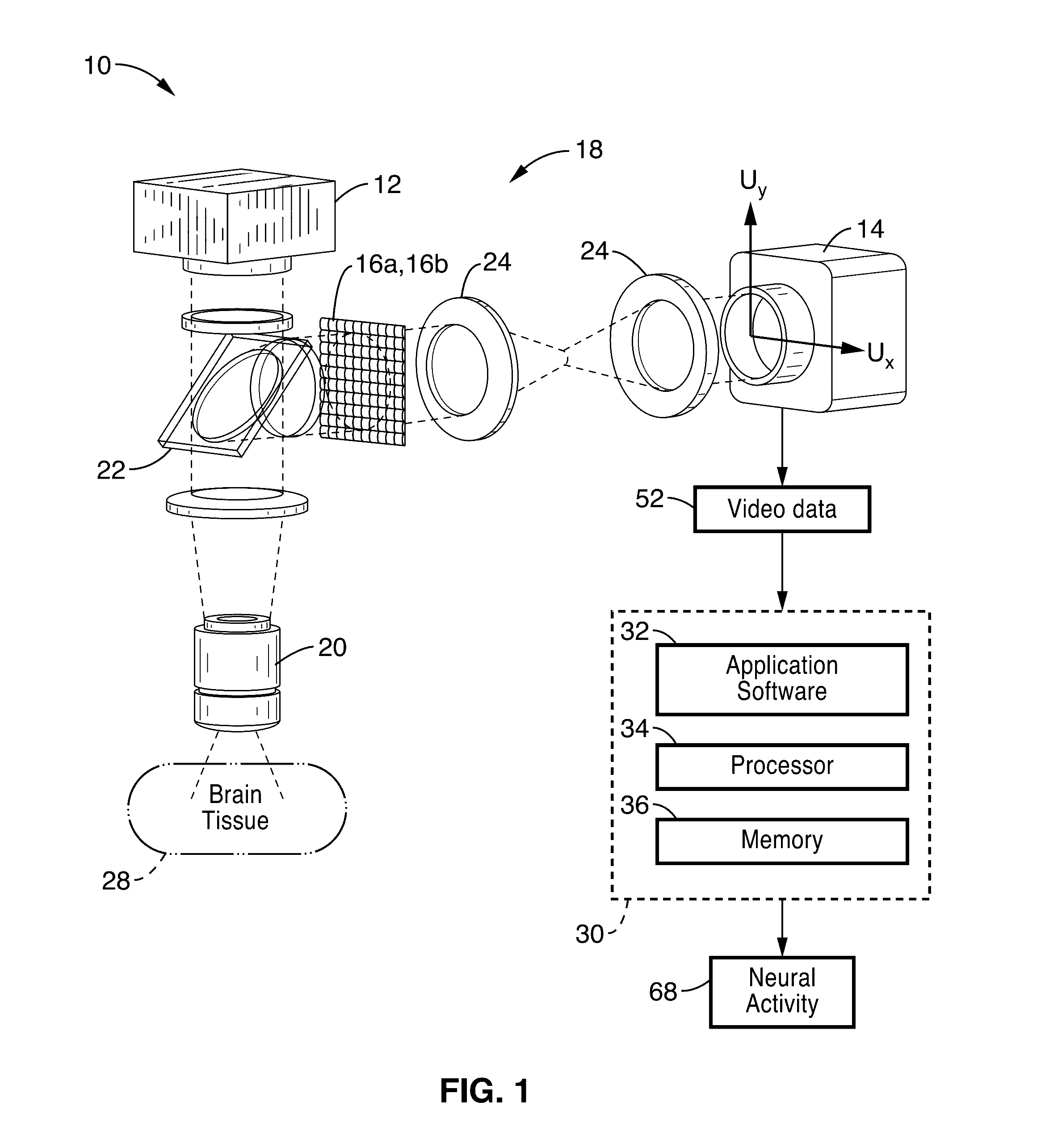 Compressive plenoptic microscopy