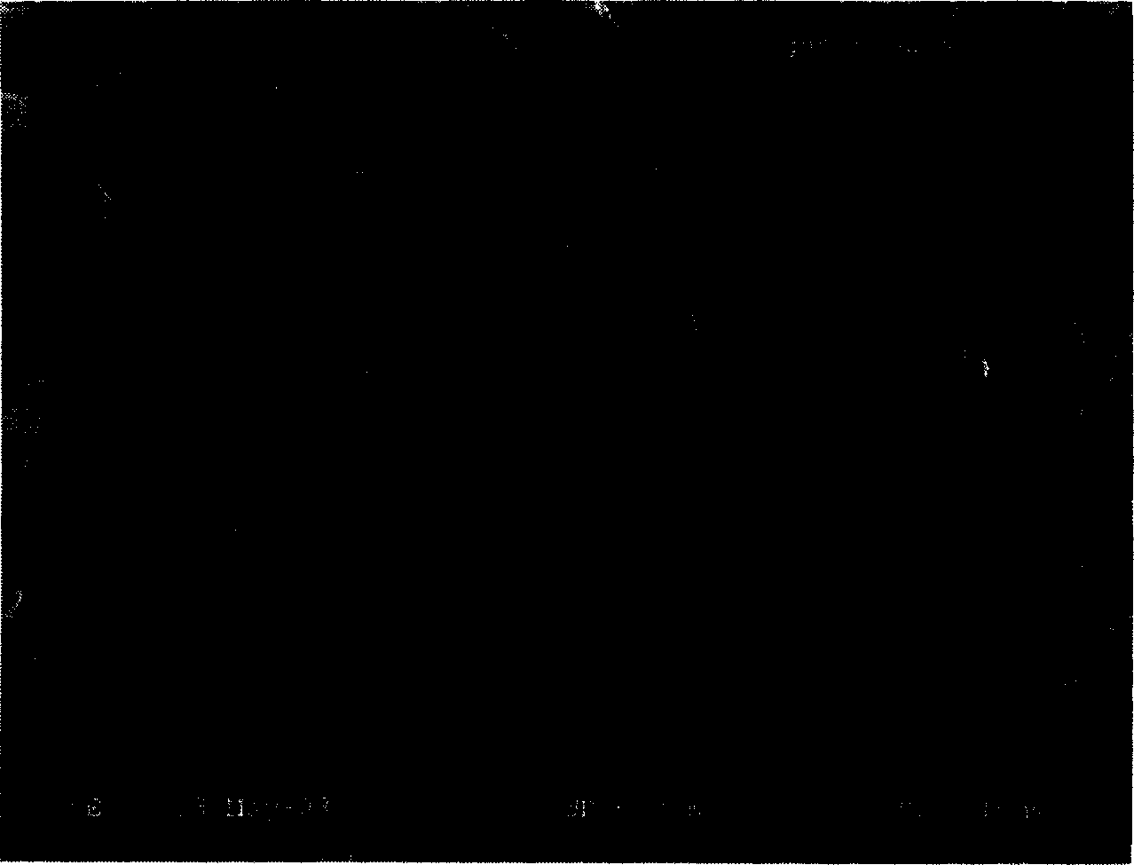 Cobalt oxide of lithium battery grade and its preparation method