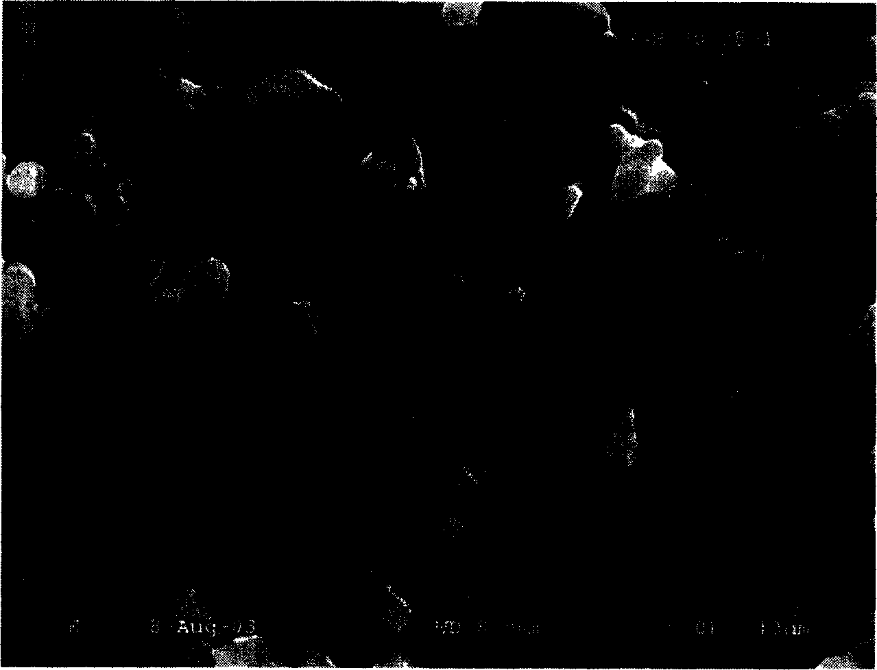 Cobalt oxide of lithium battery grade and its preparation method