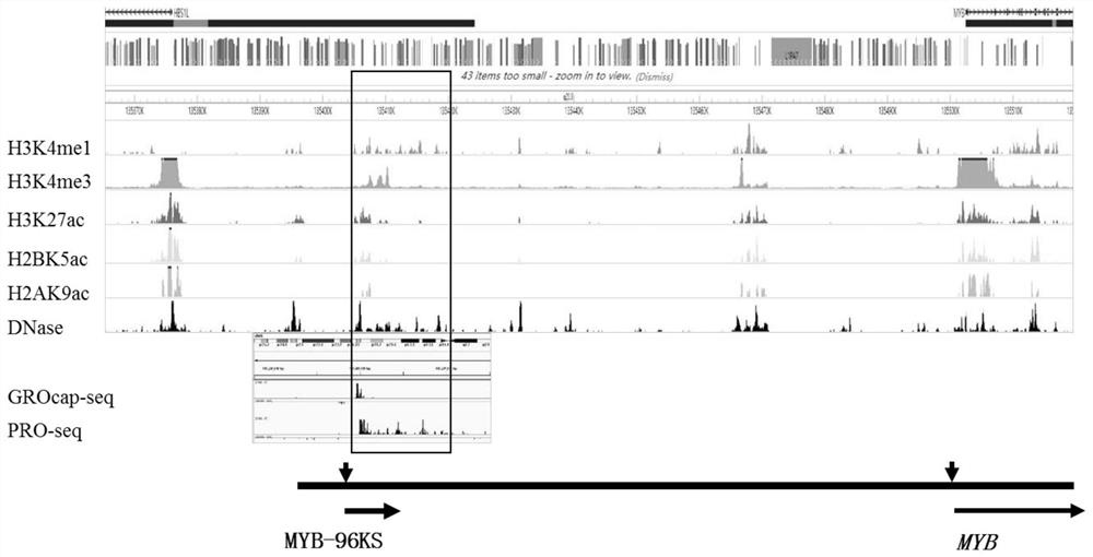 Long-chain non-coding RNA for regulating and controlling proto-oncogene MYB and application of long-chain non-coding RNA