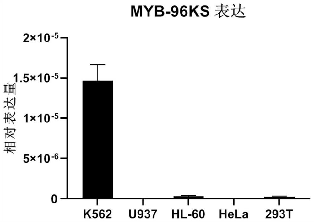 Long-chain non-coding RNA for regulating and controlling proto-oncogene MYB and application of long-chain non-coding RNA