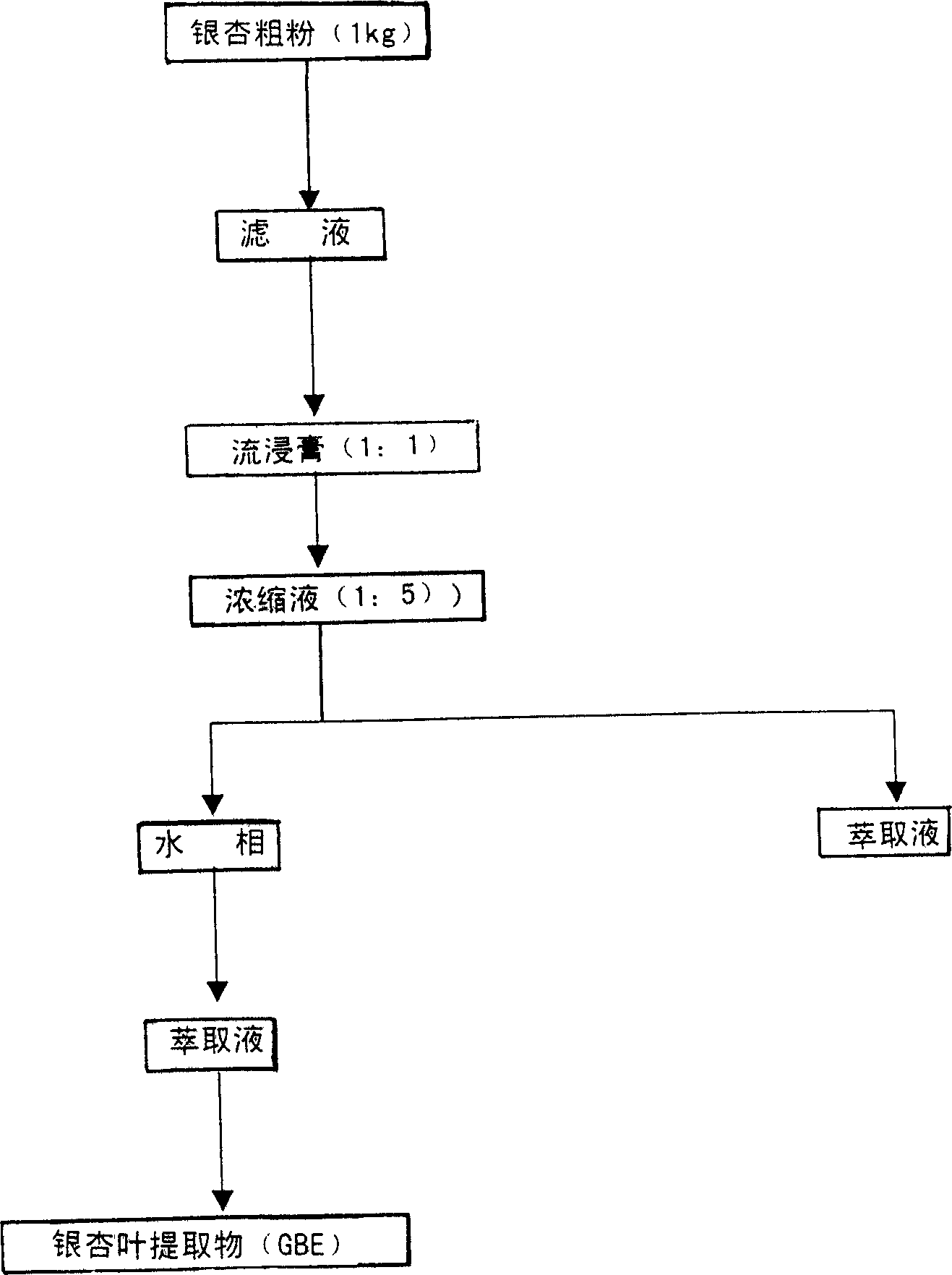 Gingseng and ginkgo injection and its preparation