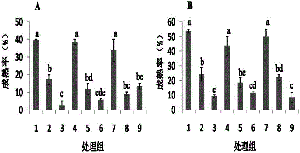 A light environment regulation method to promote gonad maturation in Atlantic salmon