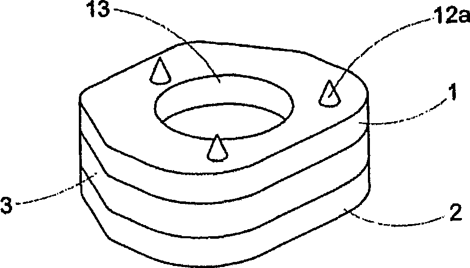 Vertebra filling block