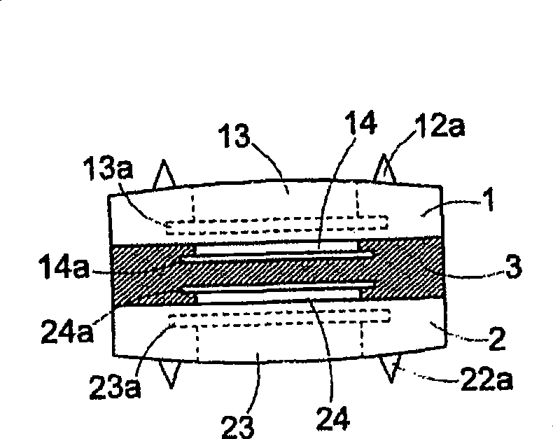 Vertebra filling block