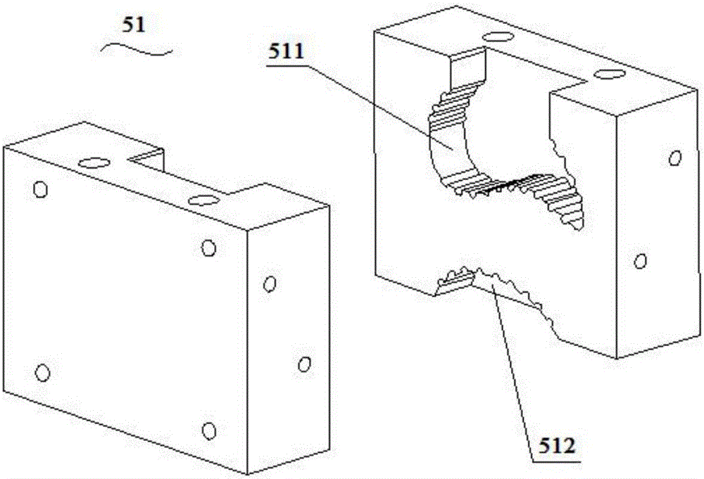 Special-shaped bag packaging mold