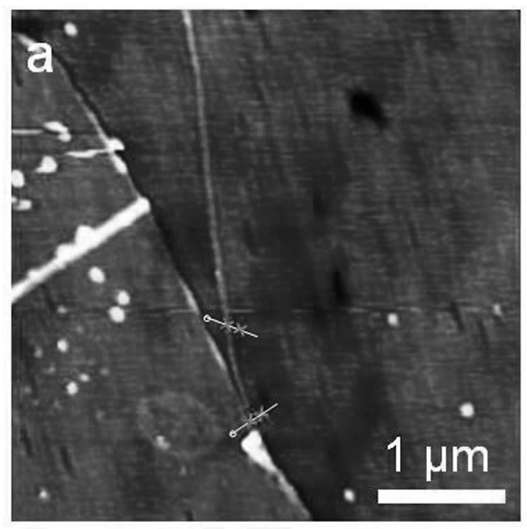 Method for preparing single-walled carbon nanotubes with graphene as catalyst