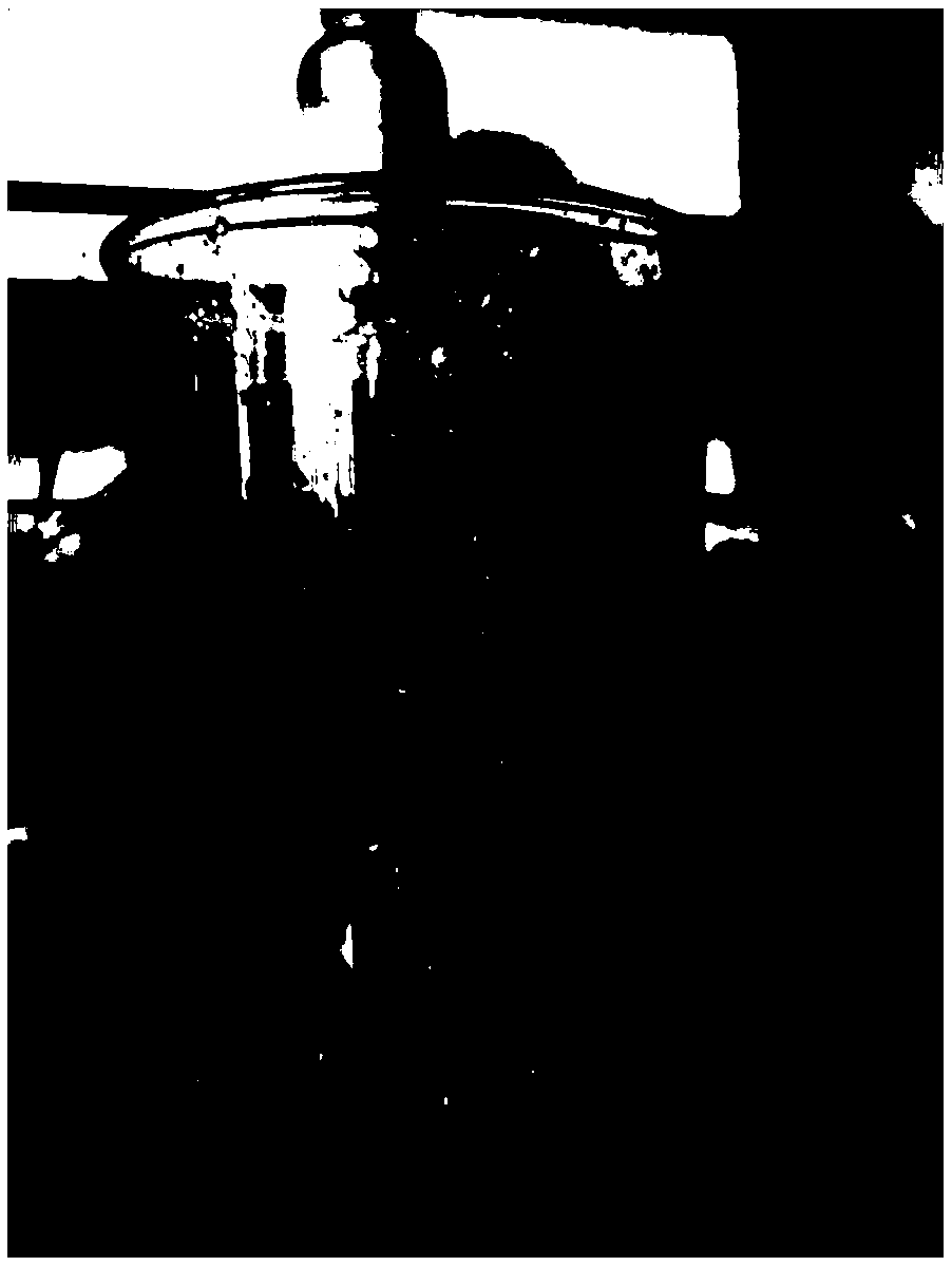 Mixed sewage short-range treatment system and method