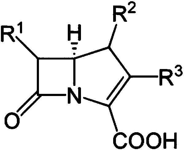 Antibacterial composition for combating carbapenem-resistant gram-negative bacteria comprising ADK protein as active ingredient