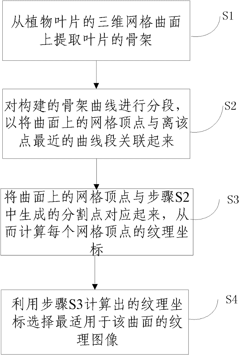 Texture mapping method for three-dimensional curved surface of irregular plant leaf