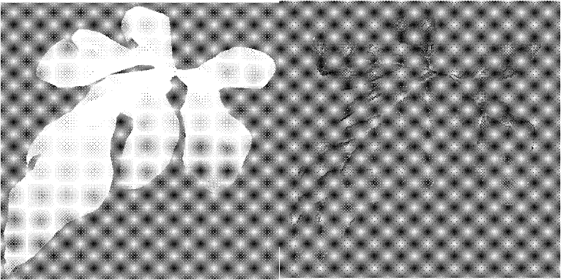 Texture mapping method for three-dimensional curved surface of irregular plant leaf