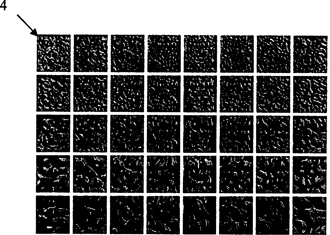 Face recognition method based on template matching