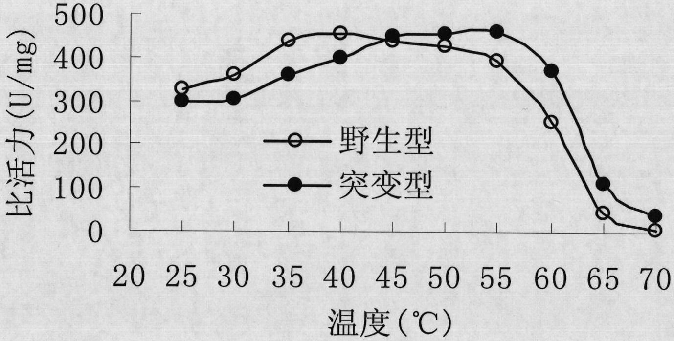 Epoxide hydrolase and preparation method thereof