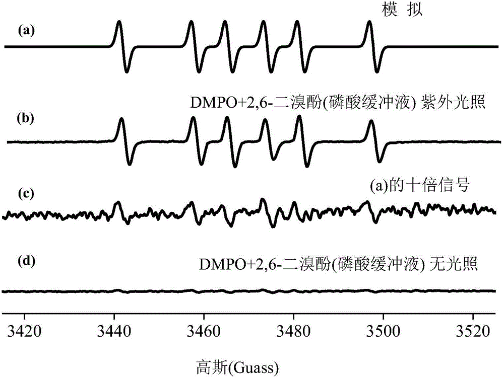 Online fast method for detecting active bromated phenoxy radical in environment