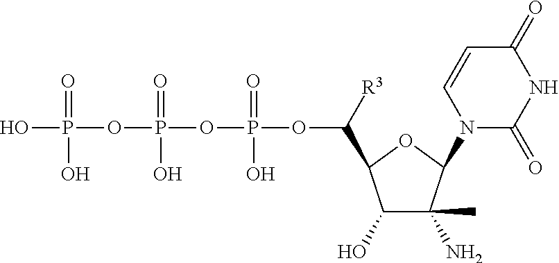 HCV Polymerase Inhibitors