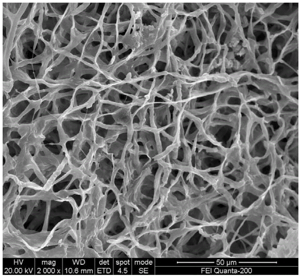 Method for treating landfill leachate with composite photocatalytic biosorbent