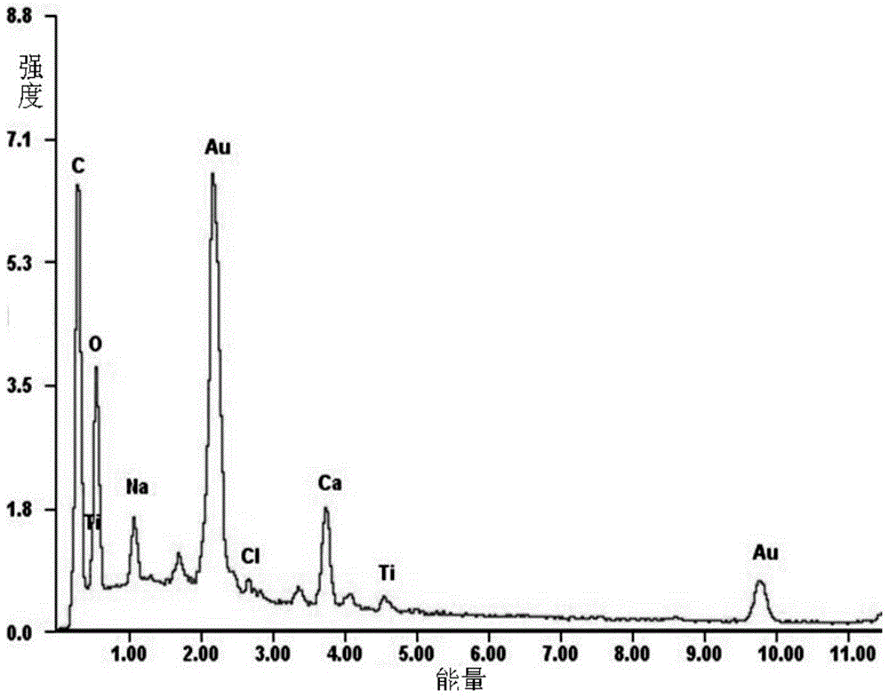 Method for treating landfill leachate with composite photocatalytic biosorbent