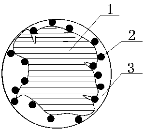 Graphite negative electrode material and preparation method thereof, negative electrode plate and lithium ion battery