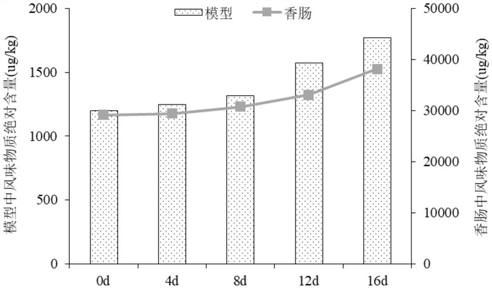 Fermented meat product model as well as establishment method and application thereof