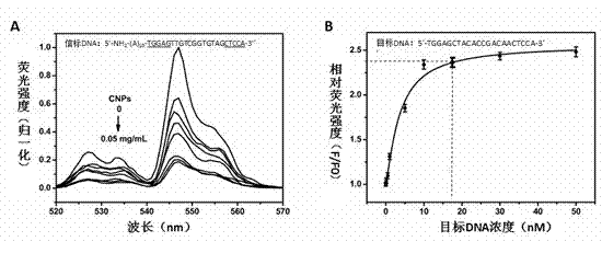 Detection method of substance with specific action with nucleic acid beacon