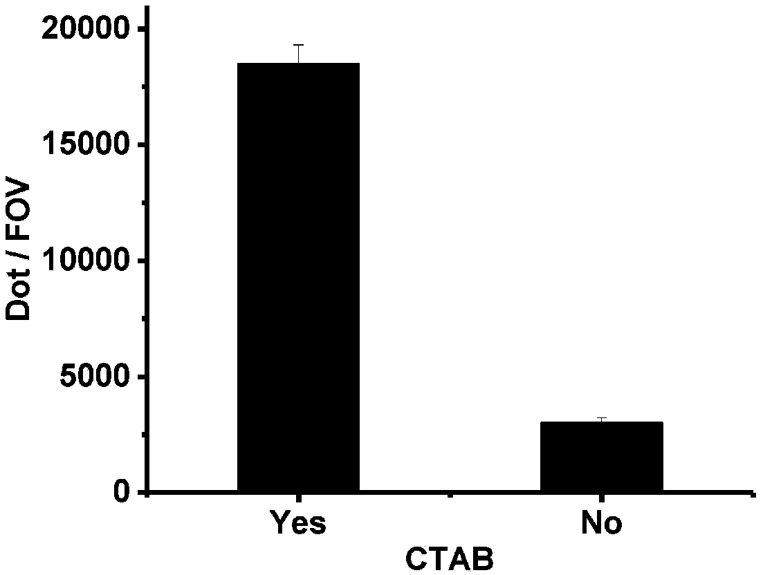 Chip preparation method, DNA or protein immobilization method and chip