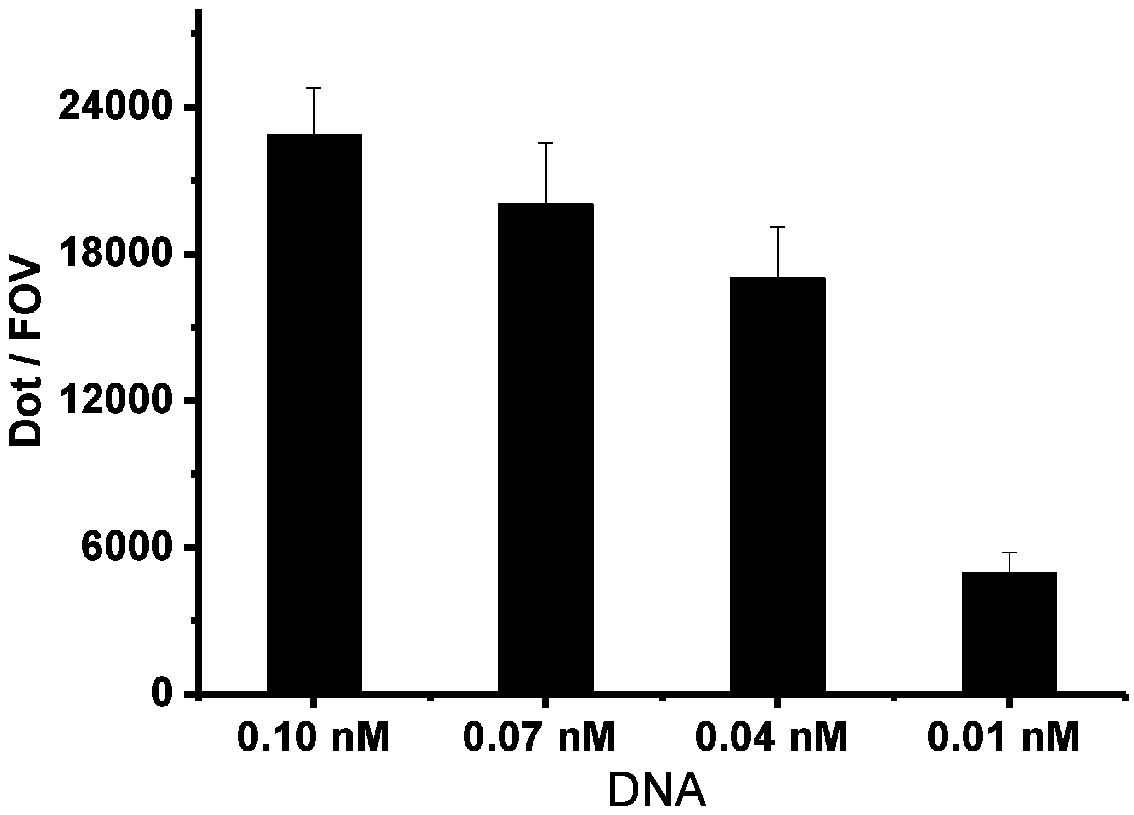 Chip preparation method, DNA or protein immobilization method and chip