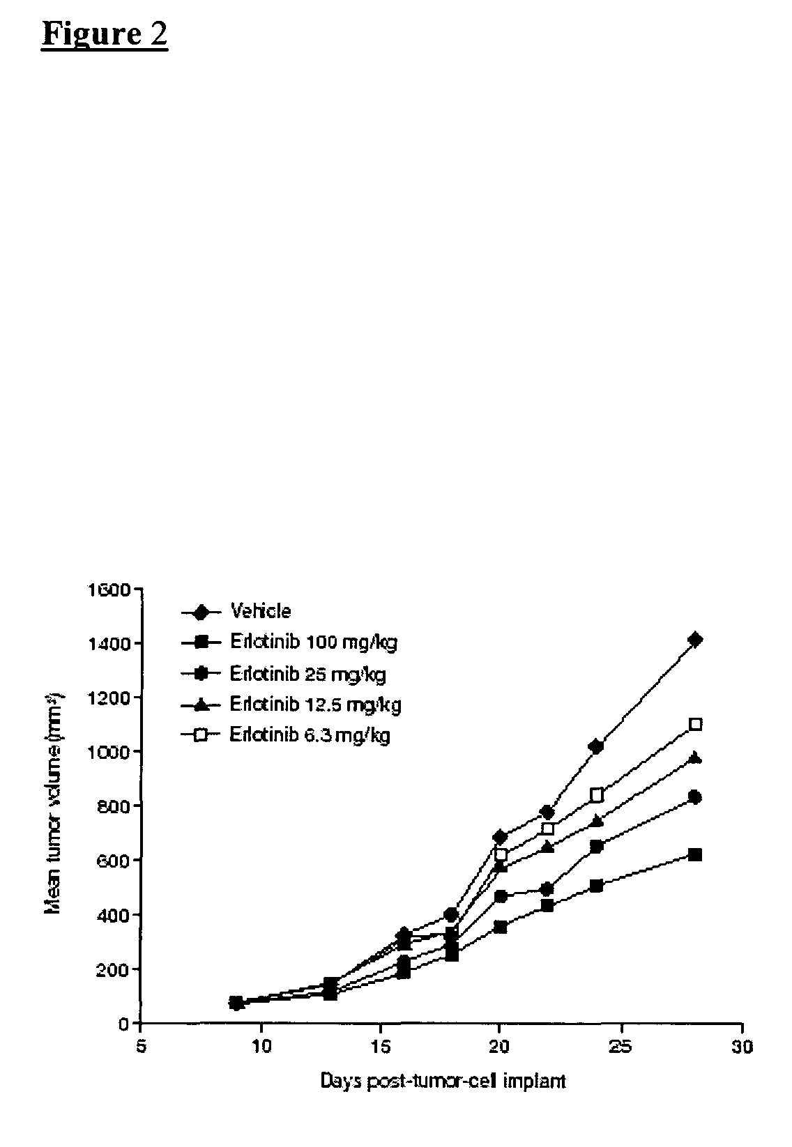 Combined treatment with cisplatin and an epidermal growth factor receptor kinase inhibitor