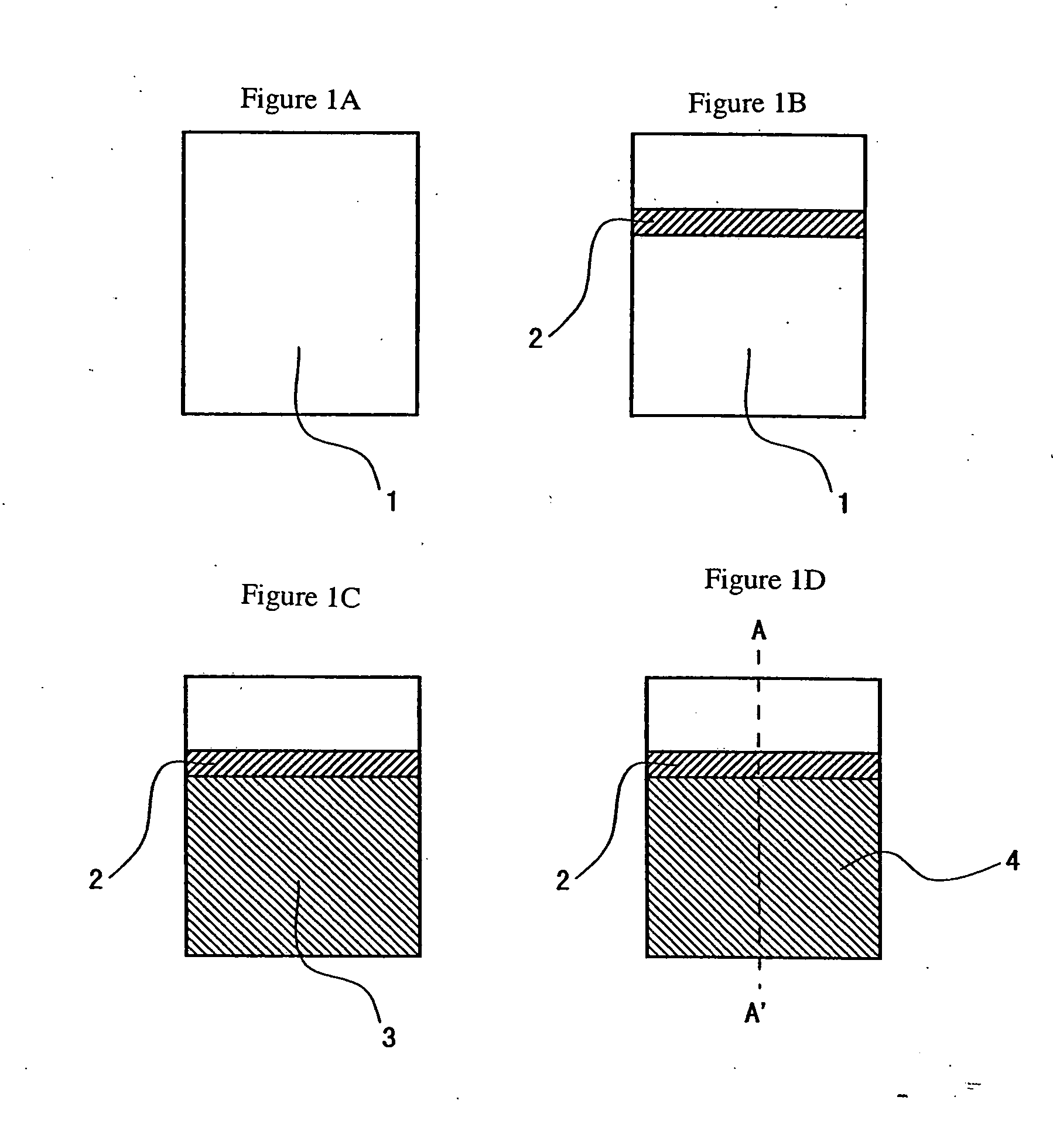 Solid electrolytic capacitor and method for producing the same