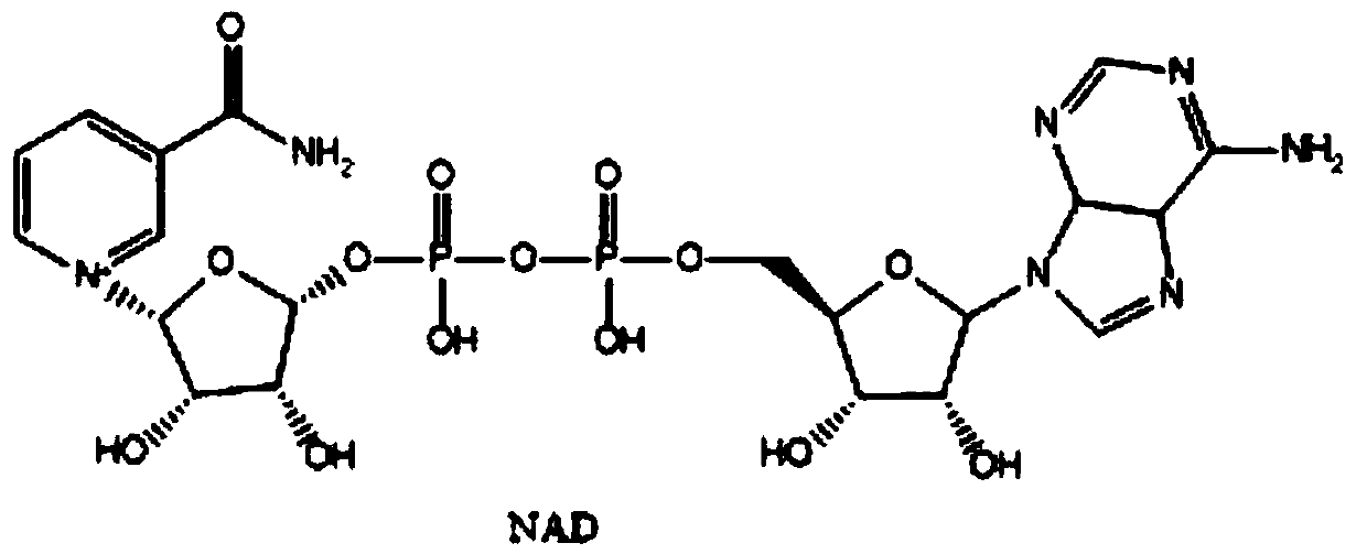 Method for preparing nicotinamide adenine dinucleotide by virtue of enzyme method