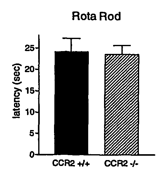 Ccr-2 antagonists for treatment of neuropathic pain