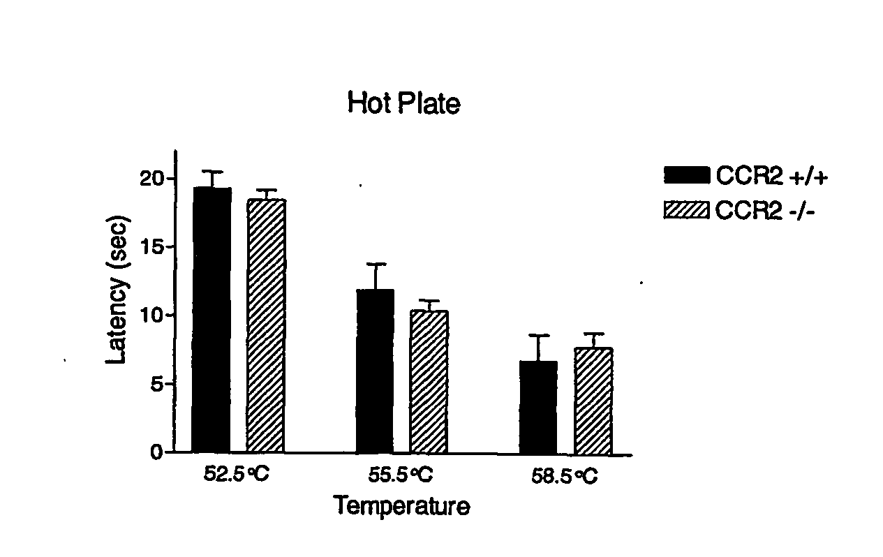 Ccr-2 antagonists for treatment of neuropathic pain