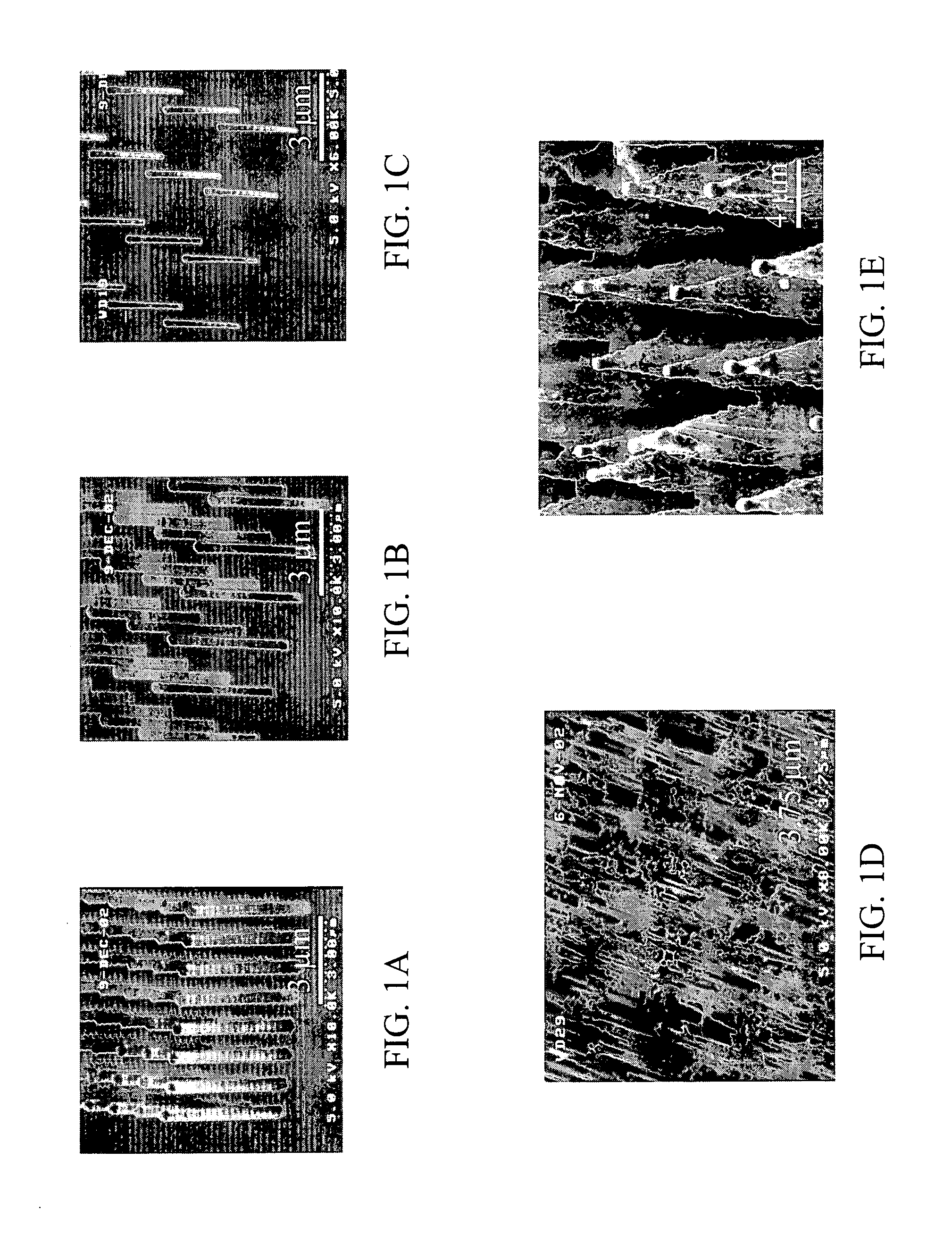 Dynamically controllable biological/chemical detectors having nanostructured surfaces