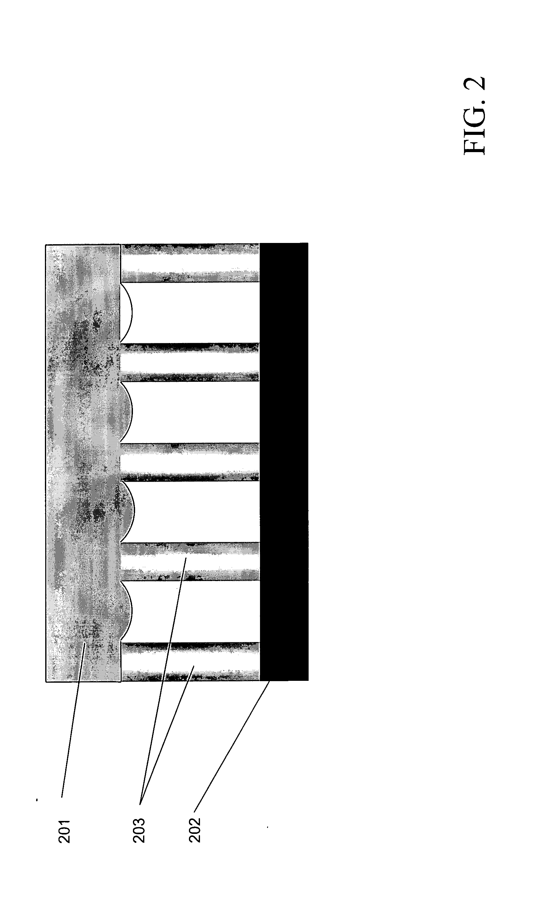 Dynamically controllable biological/chemical detectors having nanostructured surfaces