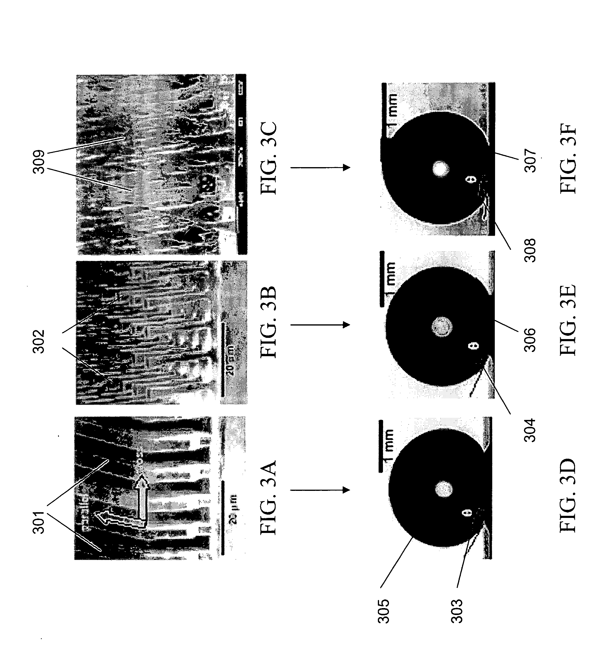 Dynamically controllable biological/chemical detectors having nanostructured surfaces