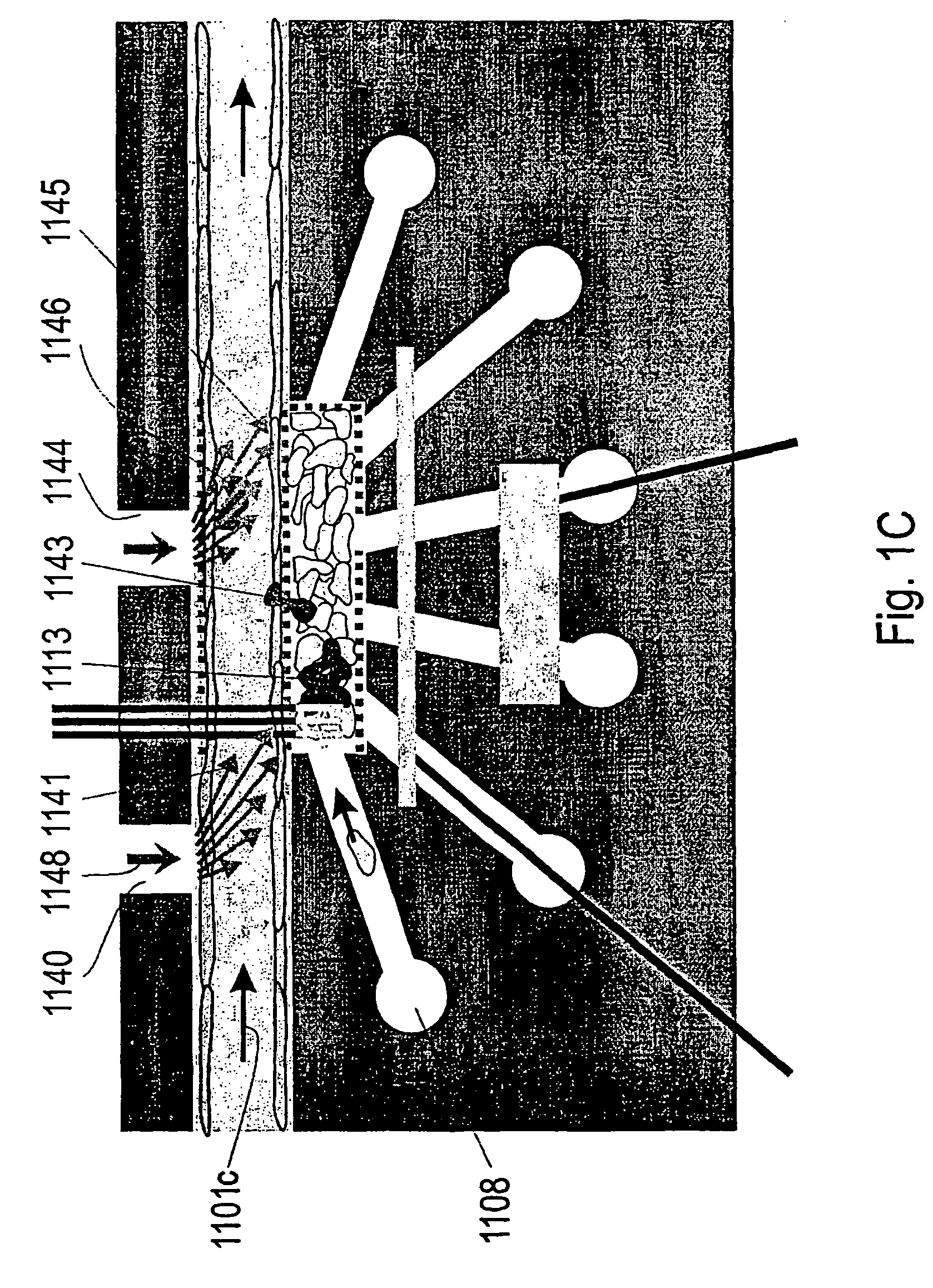 Capillary perfused bioreactors with multiple chambers