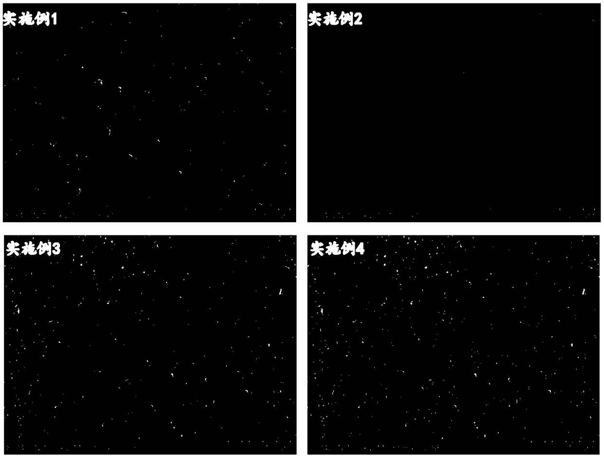 Preparation method of strontium doping hydroxyapatite composite film